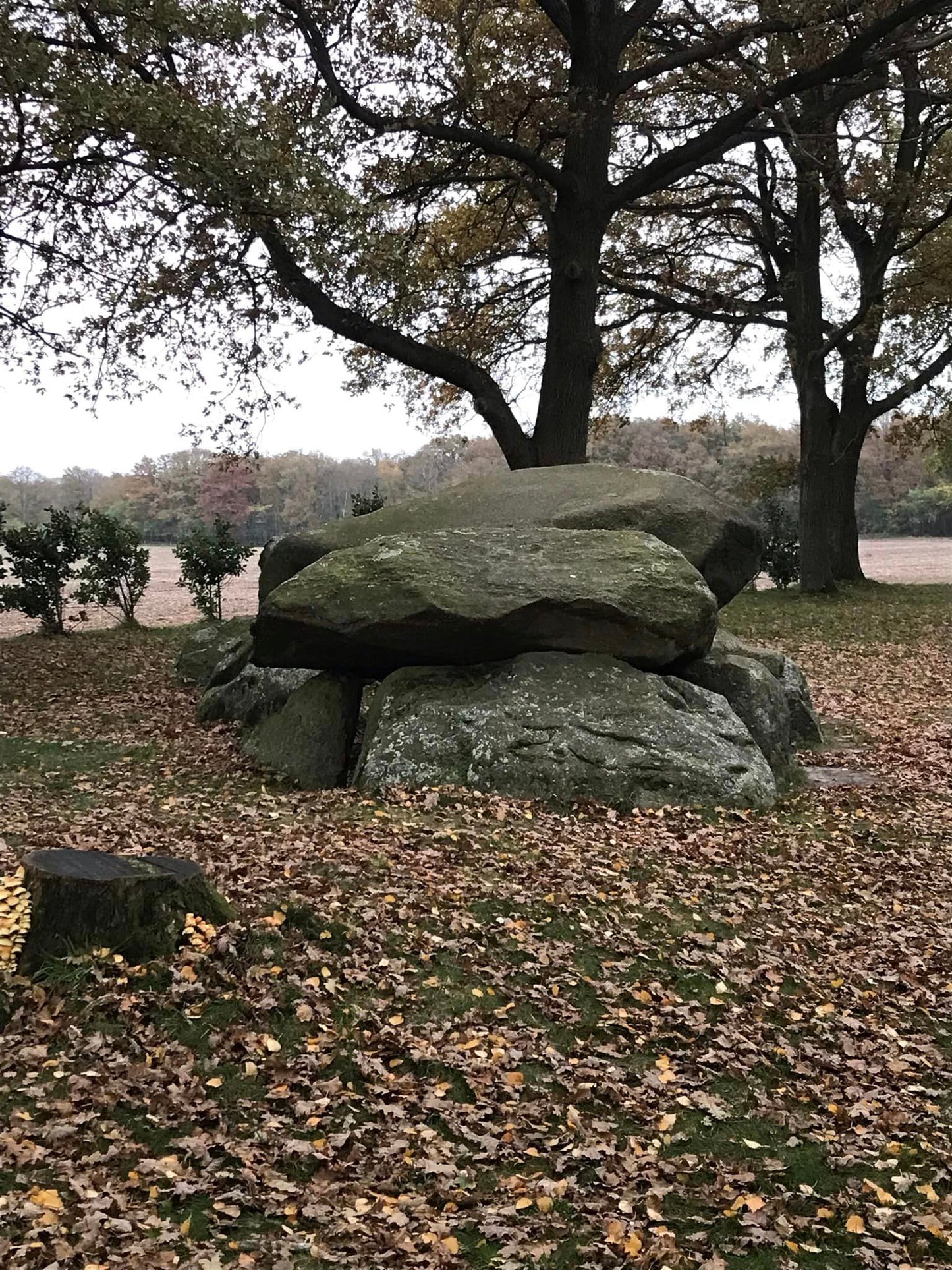 Praktijkdagen